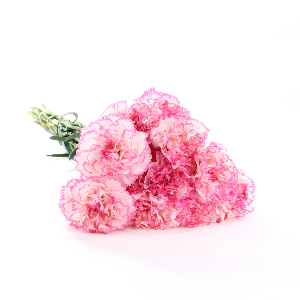 Carnations Bouquet